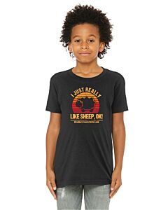 BELLA+CANVAS ® Youth Jersey Short Sleeve Tee - Front Imprint - LB FFA 2023